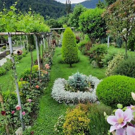 Guest House Gardenia & Wine Cellar Lagodekhi Exterior photo