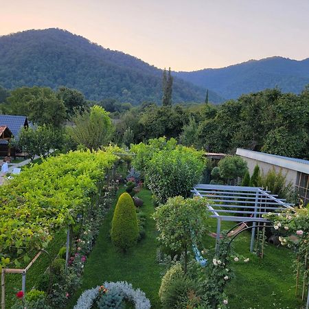 Guest House Gardenia & Wine Cellar Lagodekhi Exterior photo