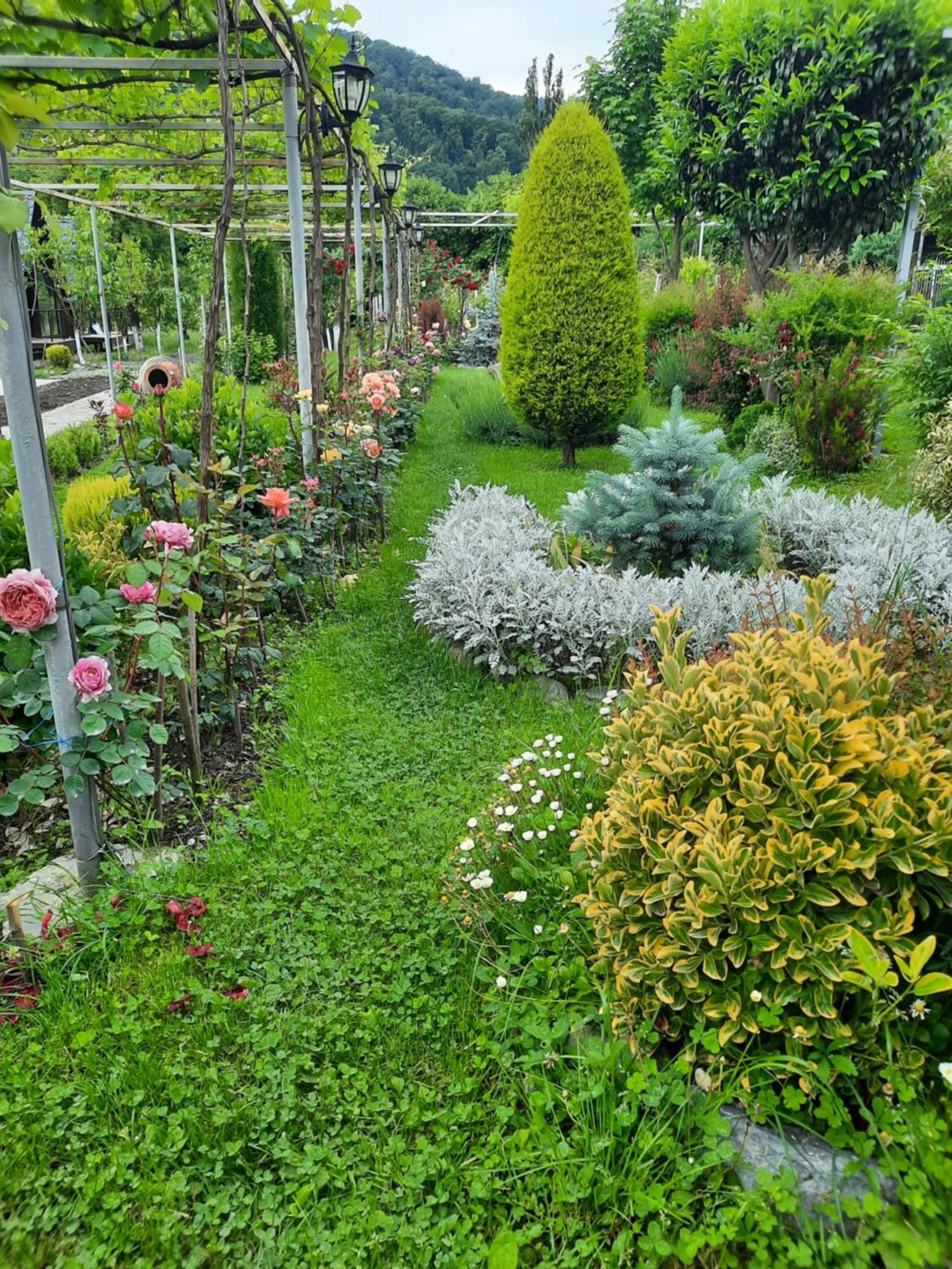 Guest House Gardenia & Wine Cellar Lagodekhi Exterior photo