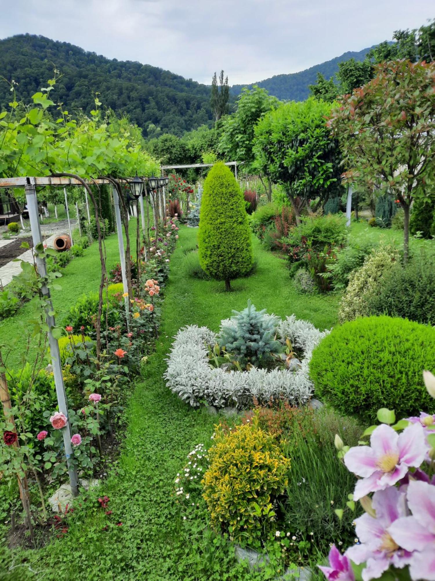 Guest House Gardenia & Wine Cellar Lagodekhi Exterior photo