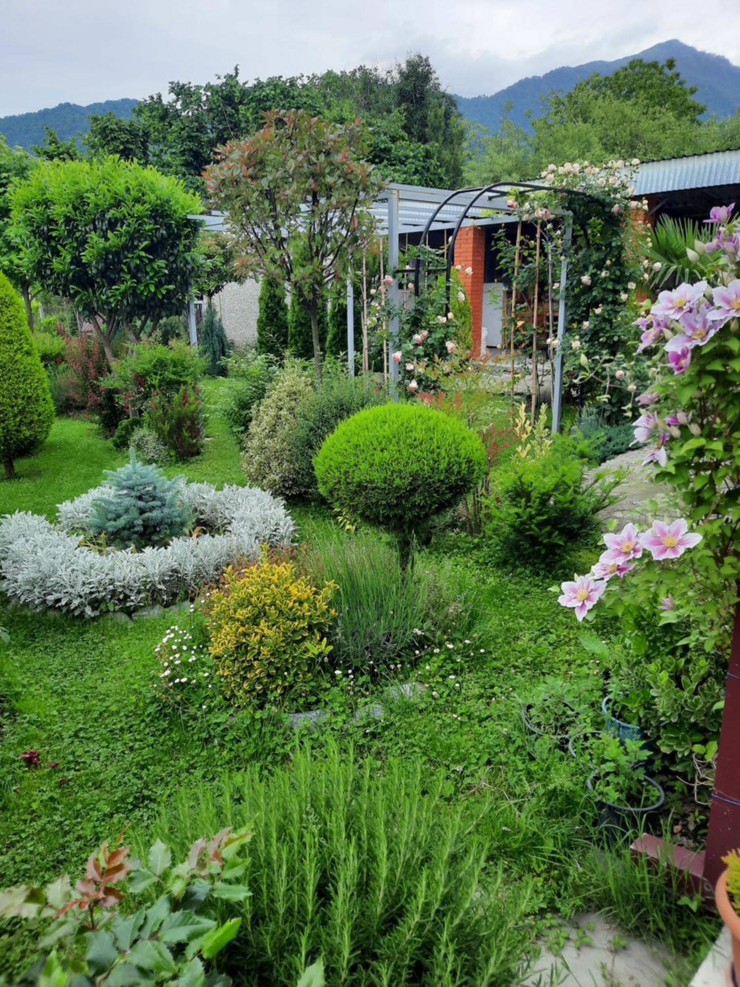 Guest House Gardenia & Wine Cellar Lagodekhi Exterior photo