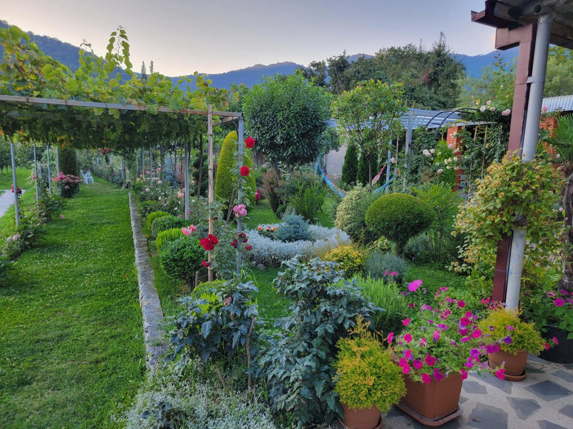 Guest House Gardenia & Wine Cellar Lagodekhi Exterior photo