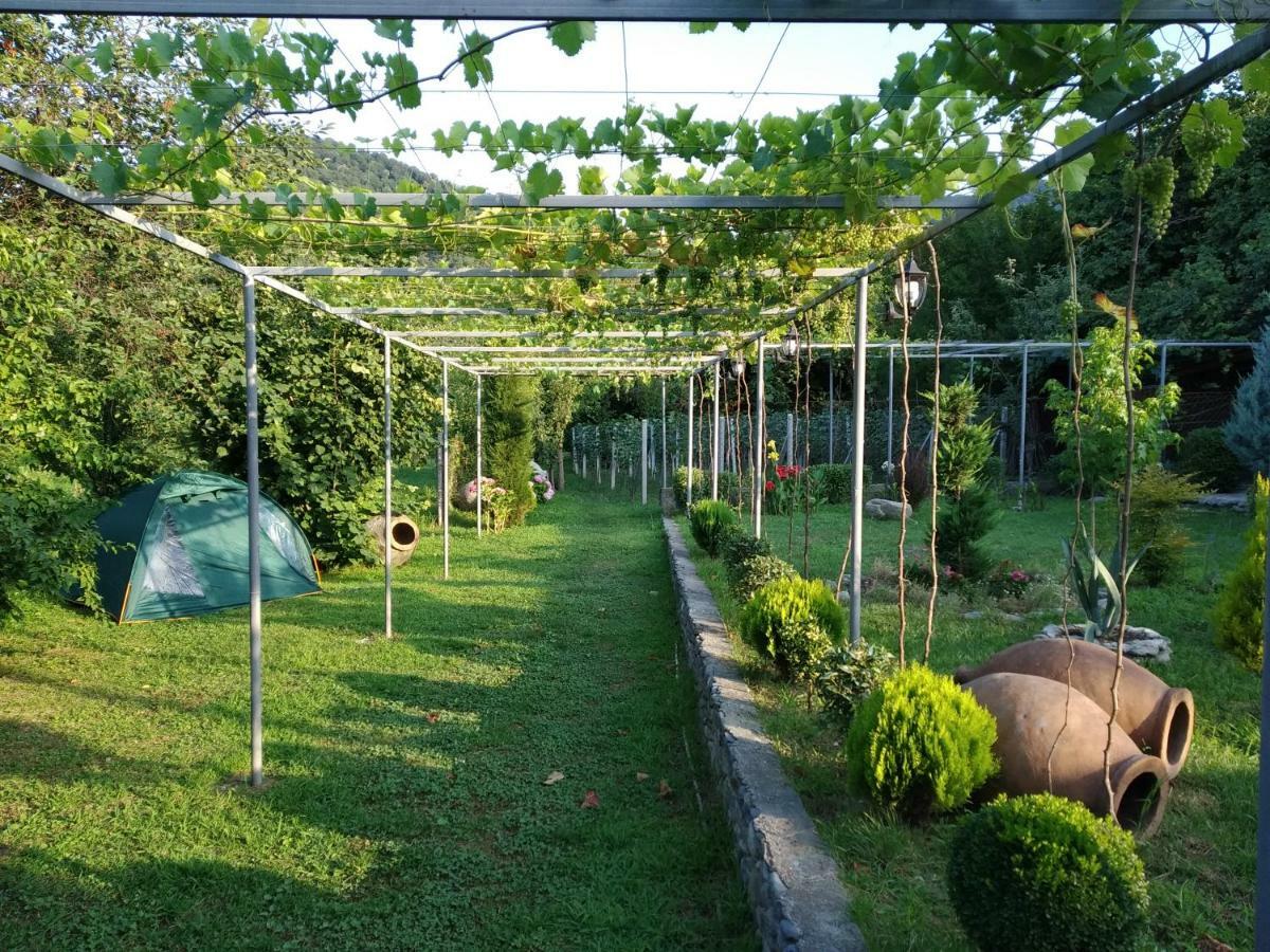 Guest House Gardenia & Wine Cellar Lagodekhi Exterior photo